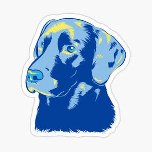 Meet your Posher, Drew